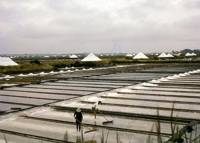 Ria 35 Appartement *